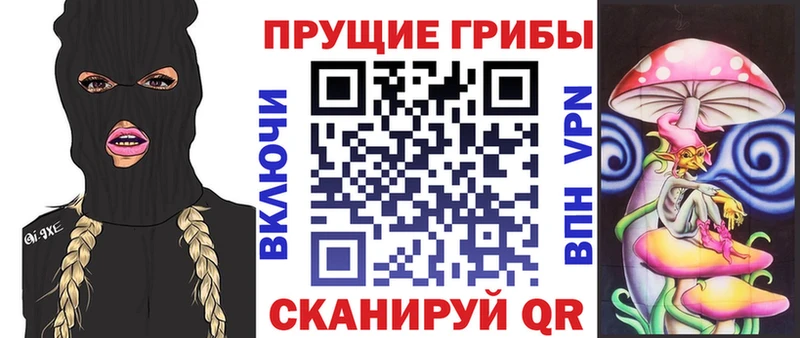 купить наркотики сайты  Среднеколымск  Галлюциногенные грибы мицелий 